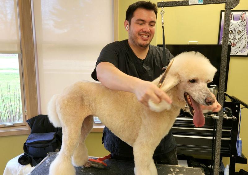 Windermere Animal Hospital Fishers veterinarians